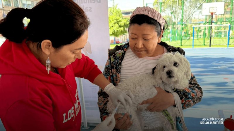 Jornada Médica Veterinaria en Los Mártires