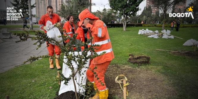 Foto Siembre de Arboles en la Localidad de Los Mártires