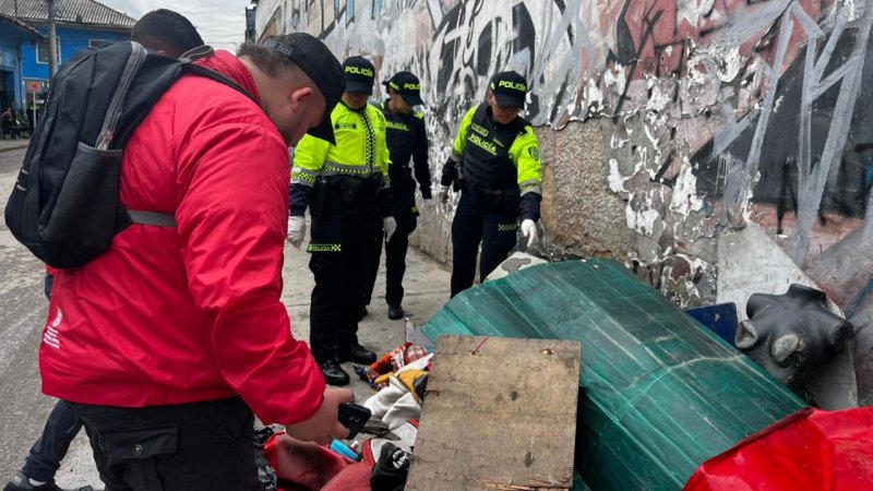 Megatoma en la Favorita