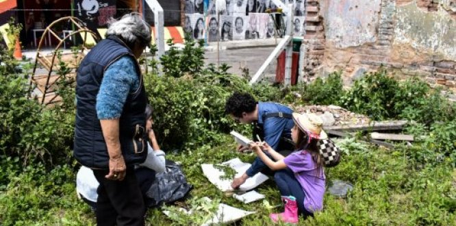 Llega la exposición Herbario del Bronx: vida y memoria entre las ruinas