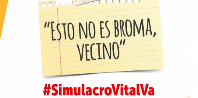 Simulacro vital 