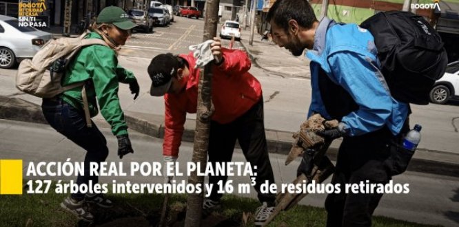 Día del árbol impulsa recuperación ambiental en Los Mártires