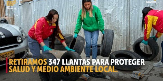 Retiramos 347 llantas para proteger salud y medio ambiente local.