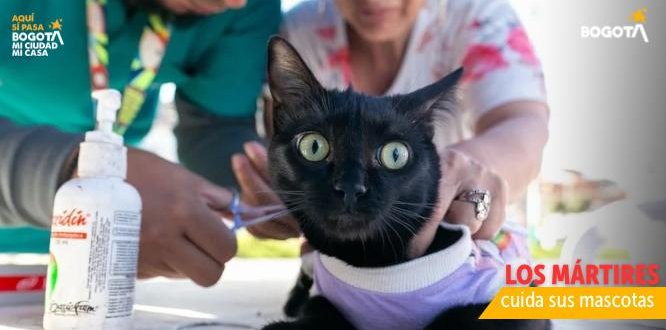 Foto Jornada de Bienestar Animal en la Localidad de Los Mártires