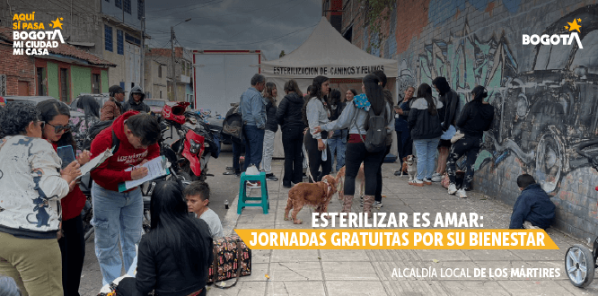 Jornadas Gratuitas de Esterilización - Alcaldía Local de Los Mártires