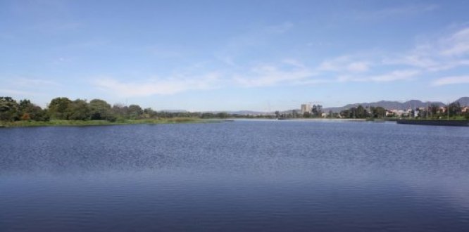  Desde este martes Secretaría de Ambiente habilita el ingreso a 13 humedales