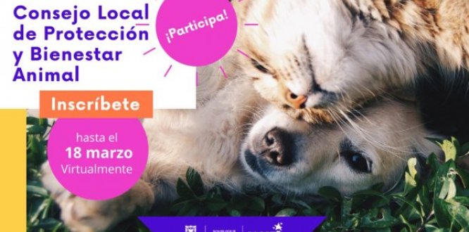 Ya están abiertas inscripciones para el Consejo Local de Protección y Bienestar Animal