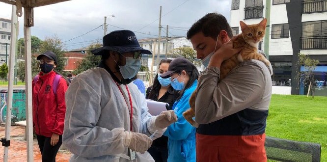 Se realizaron cerca de un centenar de atenciones en jornada de bienestar animal en Santa Isabel