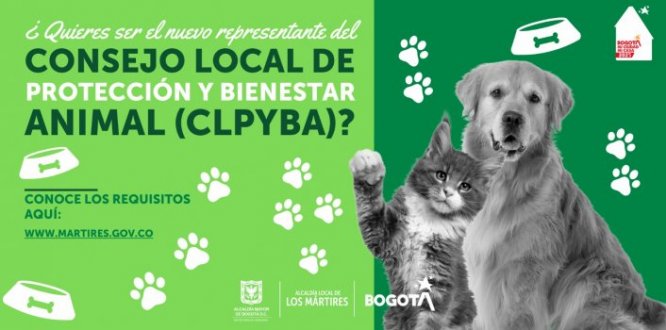 Foto con información sobre convocatoria para integrar el consejo de protección animal