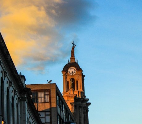 El Distrito ha empezado a limpiar y a resembrar el lugar como si se tratara de desenterrarlo.