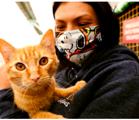 El Instituto de Bienestar Animal ratifica su compromiso para la protección de la fauna bogotana