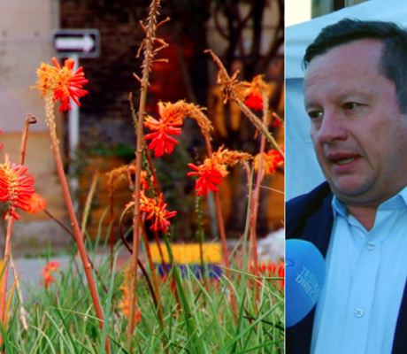 Centro de Bogotá se revitaliza con 500 metros cuadrados de jardines