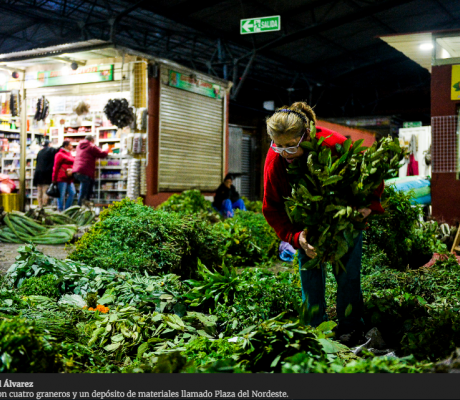 Plaza Samper Mendoza, la primera en latinoamérica especializada en hierbas