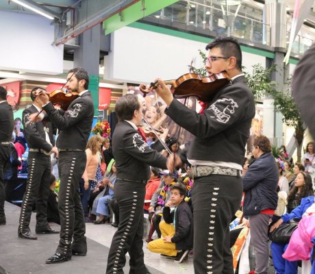 Serenata Mariachis