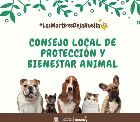 Consejo Local de Protección y Bienestar Animal