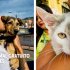 Bienestar animal gratuito en Los Mártires