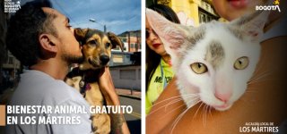 Bienestar animal gratuito en Los Mártires